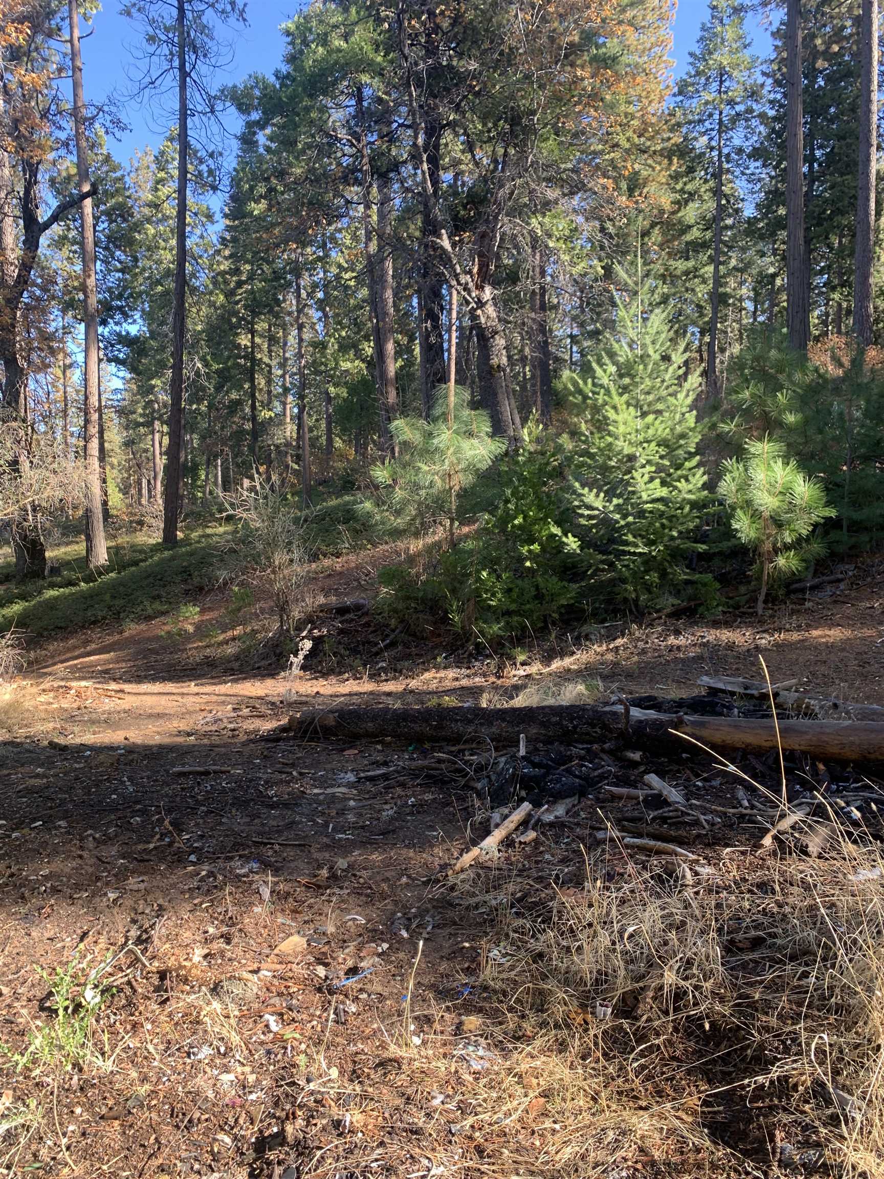 24455 South Fork, Twain Harte