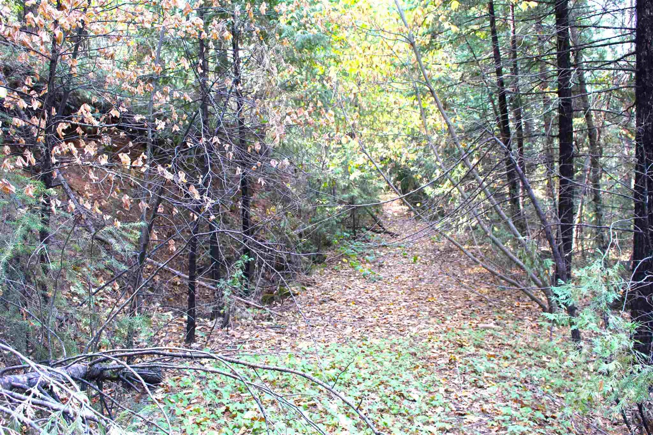 24455 South Fork, Twain Harte