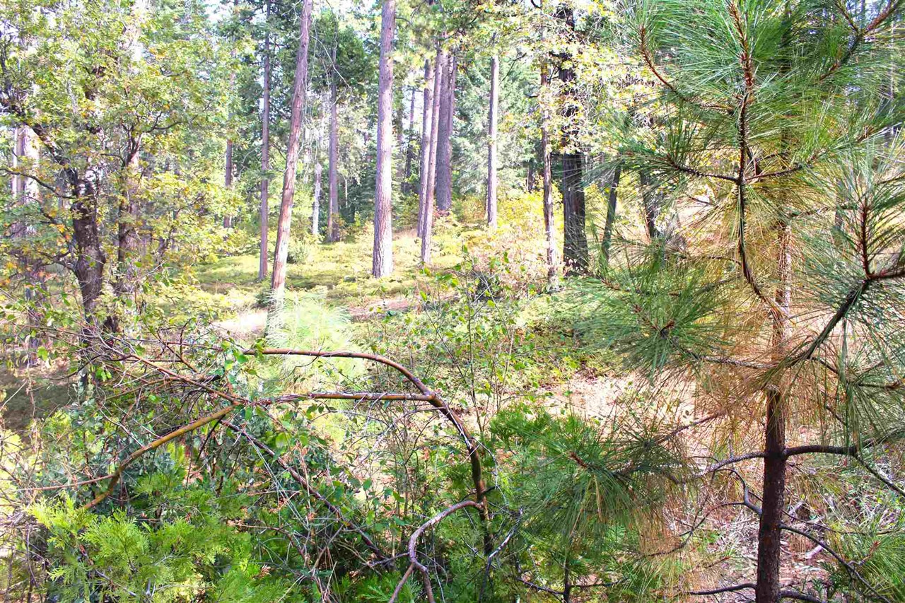 24455 South Fork, Twain Harte