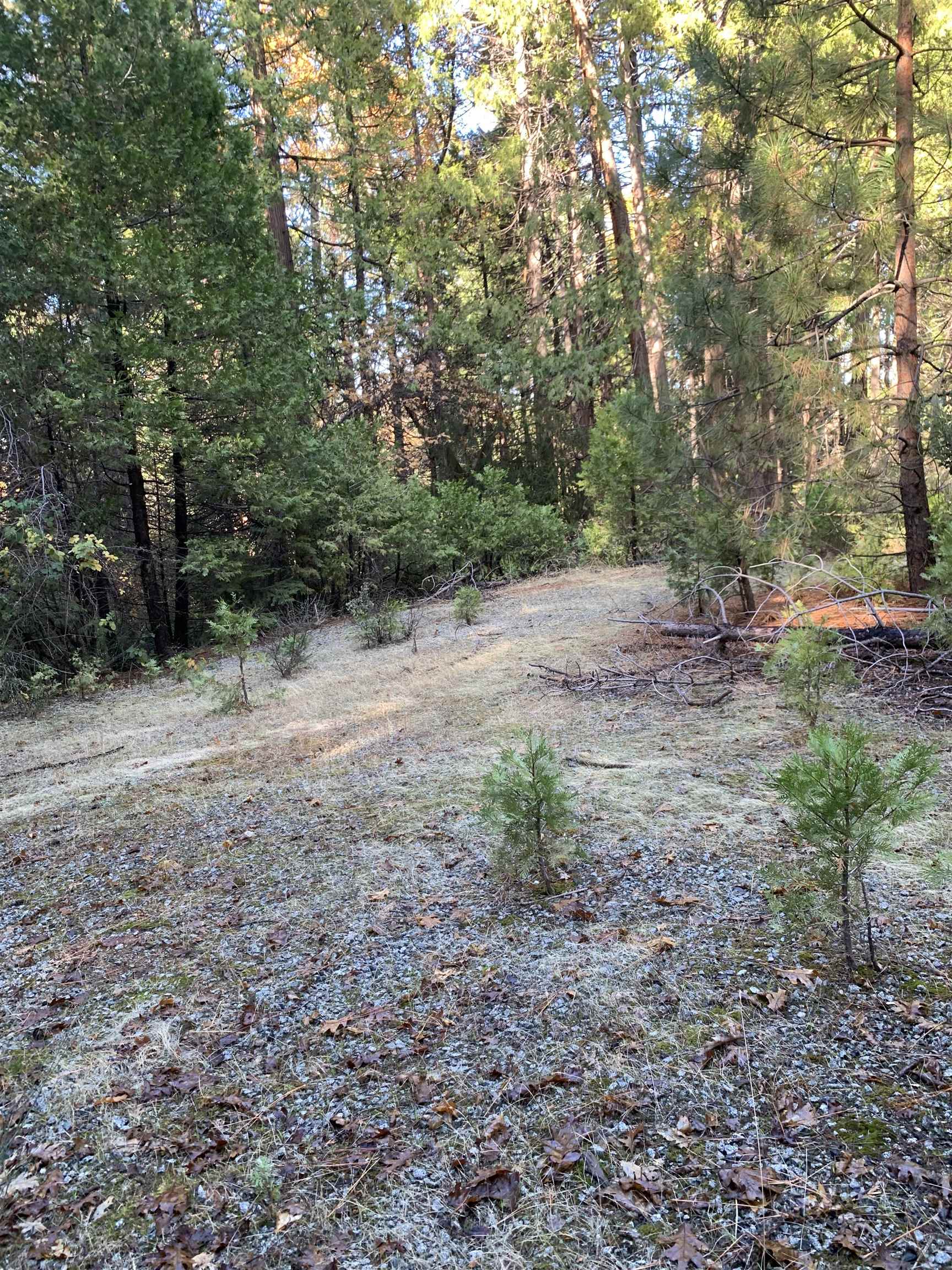 24455 South Fork, Twain Harte