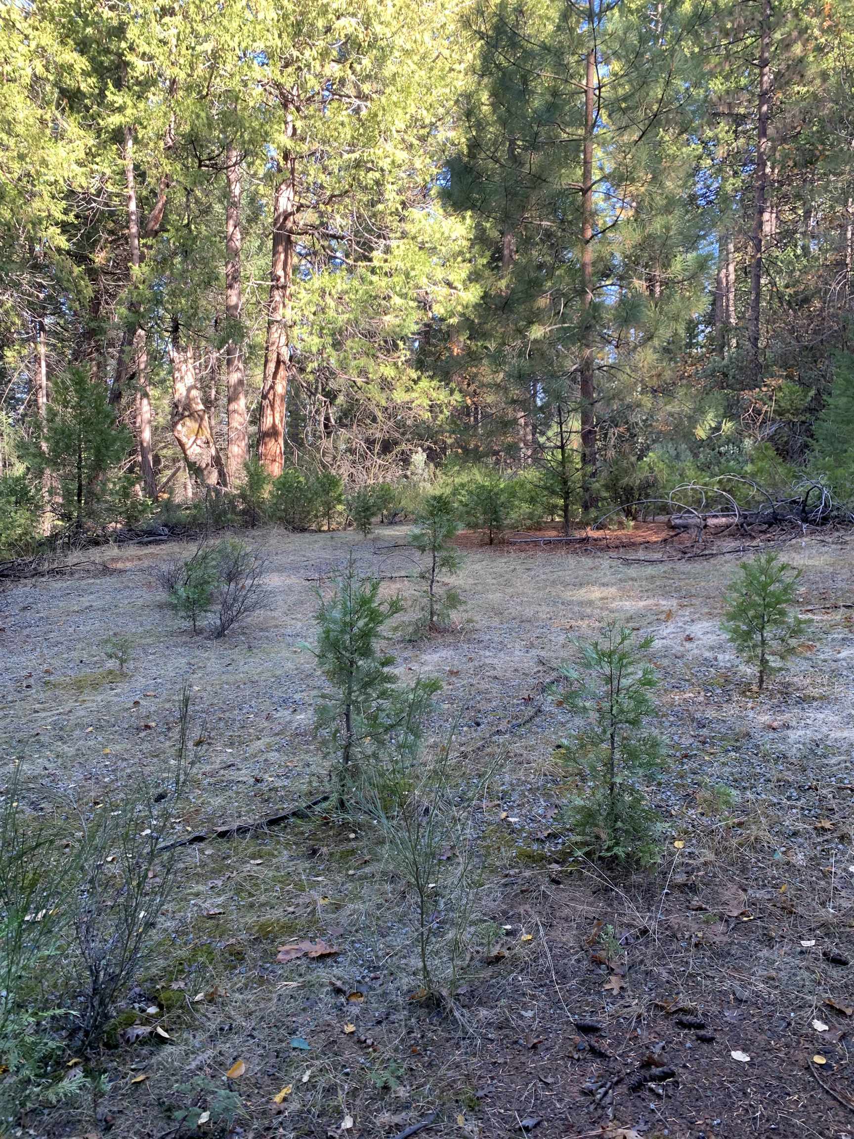 24455 South Fork, Twain Harte