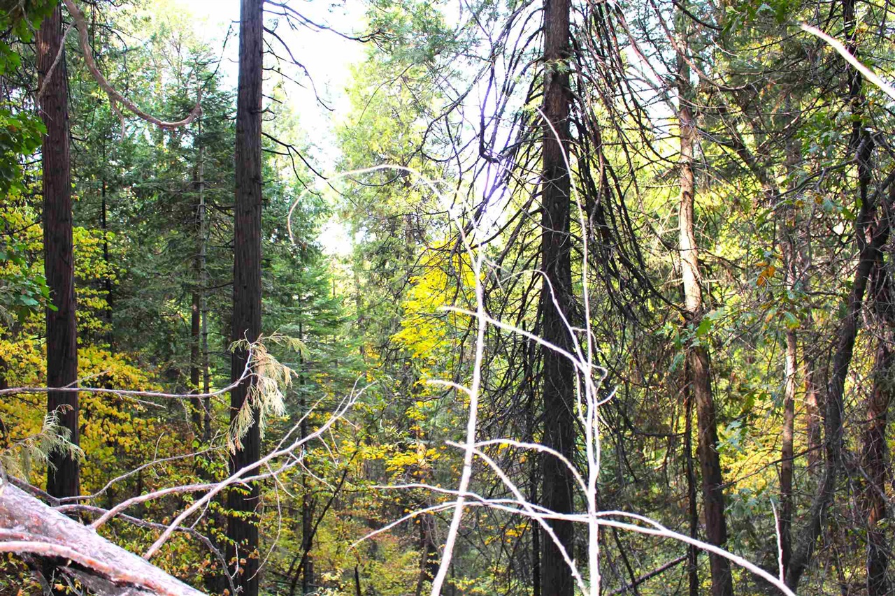 24455 South Fork, Twain Harte