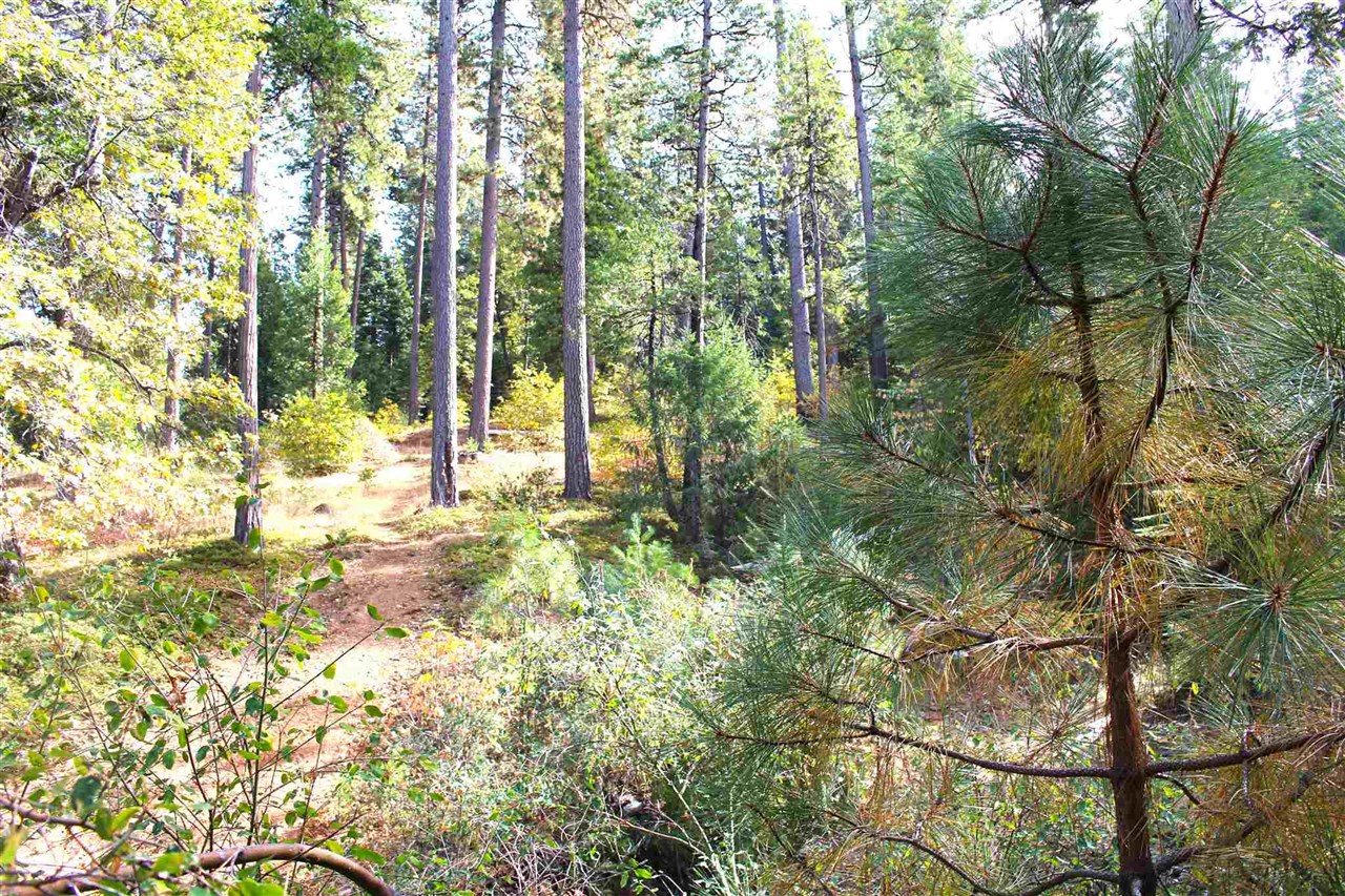 24455 South Fork, Twain Harte