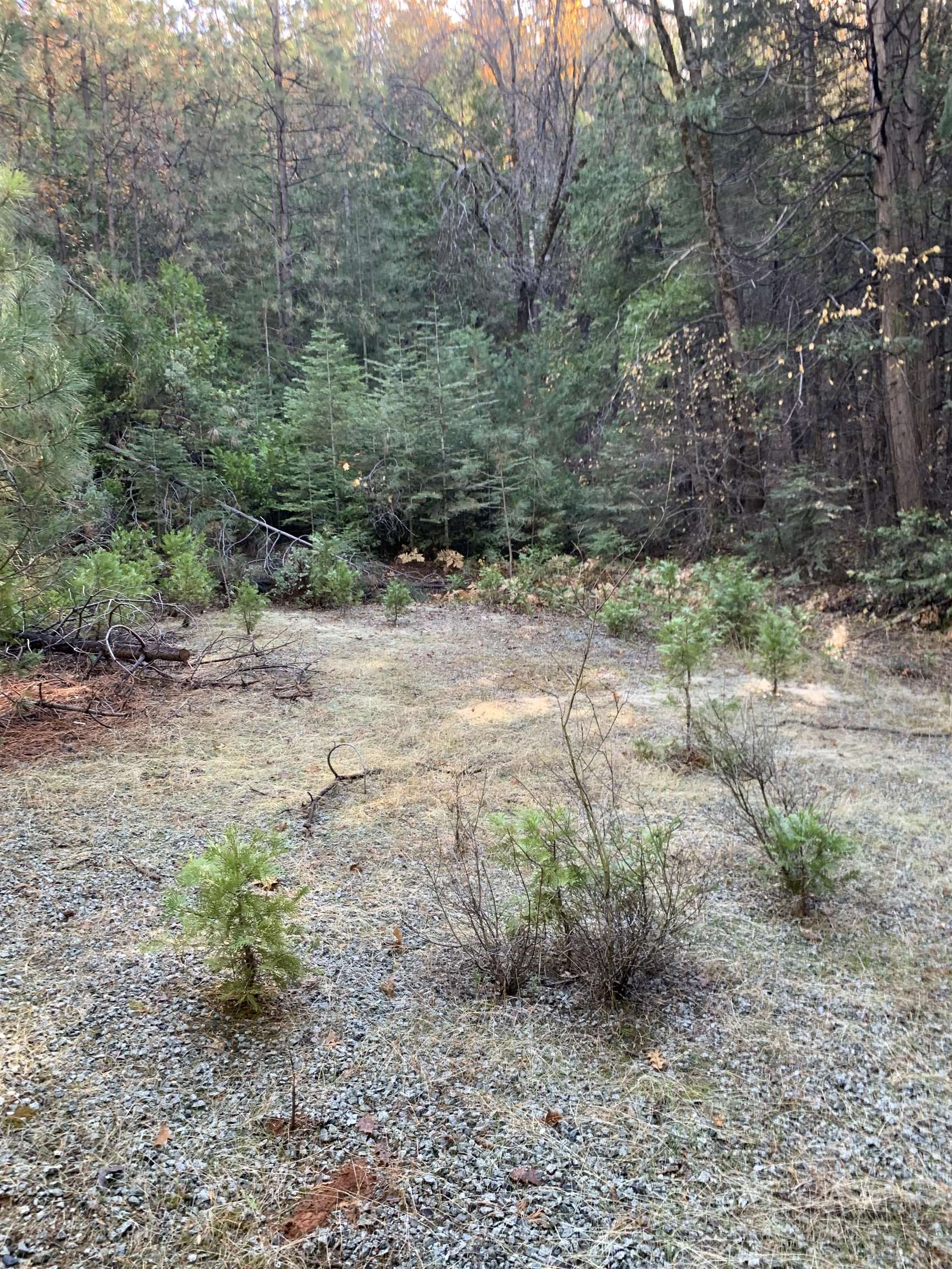 24455 South Fork, Twain Harte