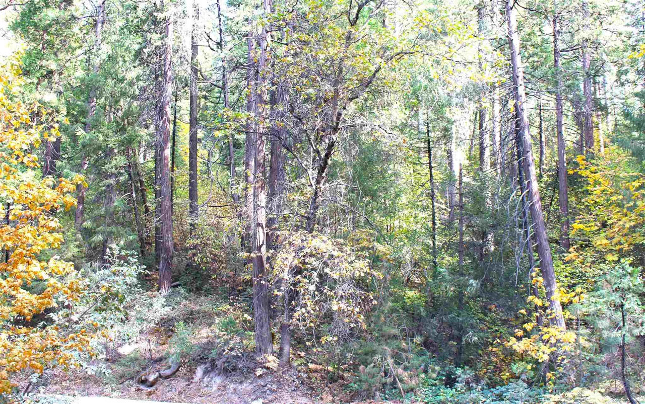 24455 South Fork, Twain Harte