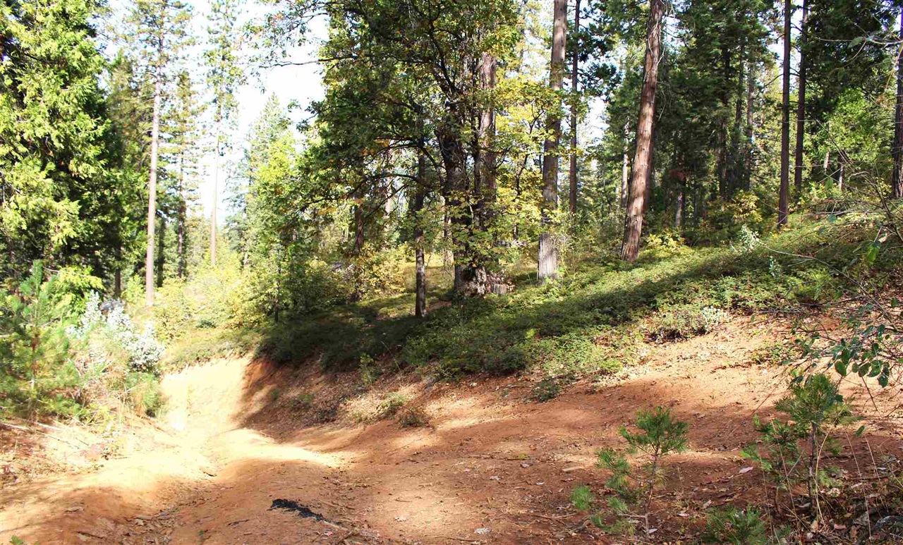 24455 South Fork, Twain Harte