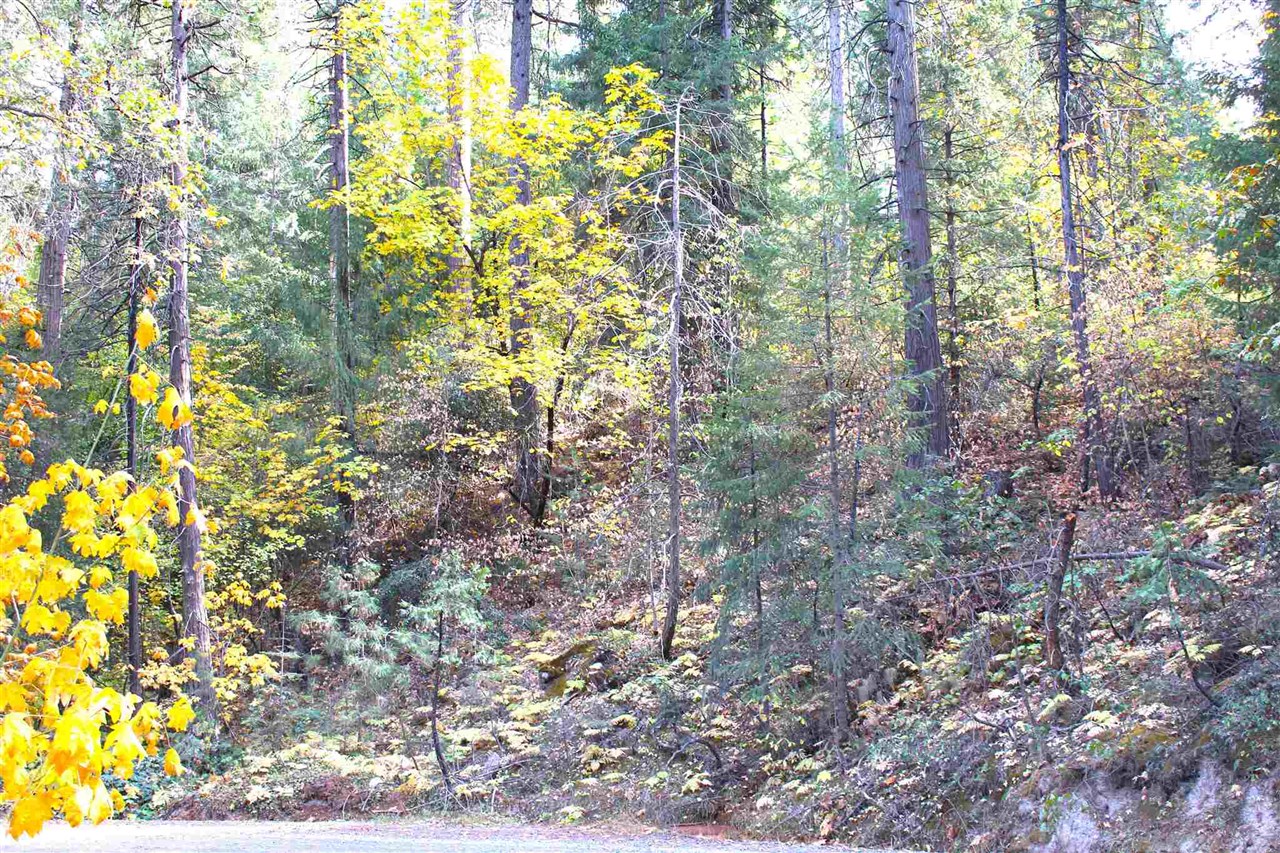 24455 South Fork, Twain Harte