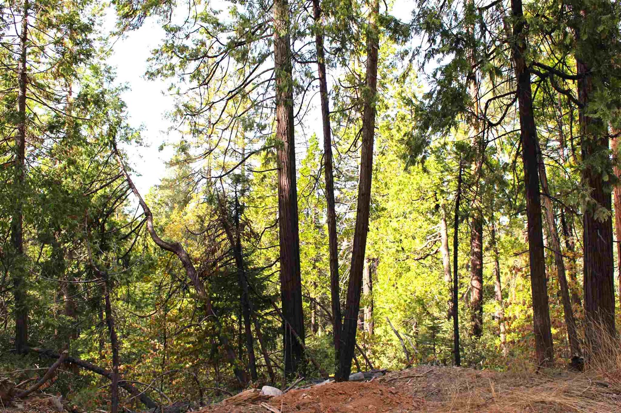 24455 South Fork, Twain Harte