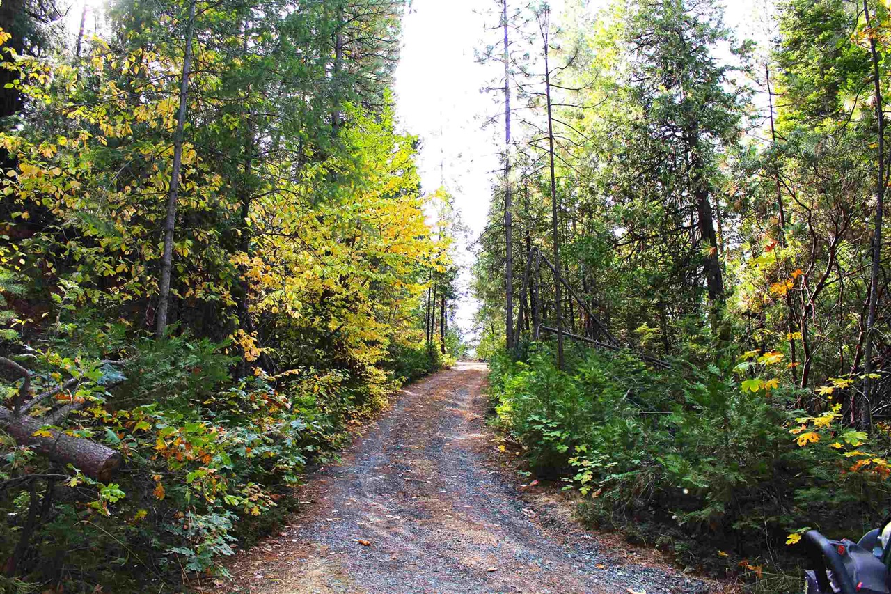 24455 South Fork, Twain Harte