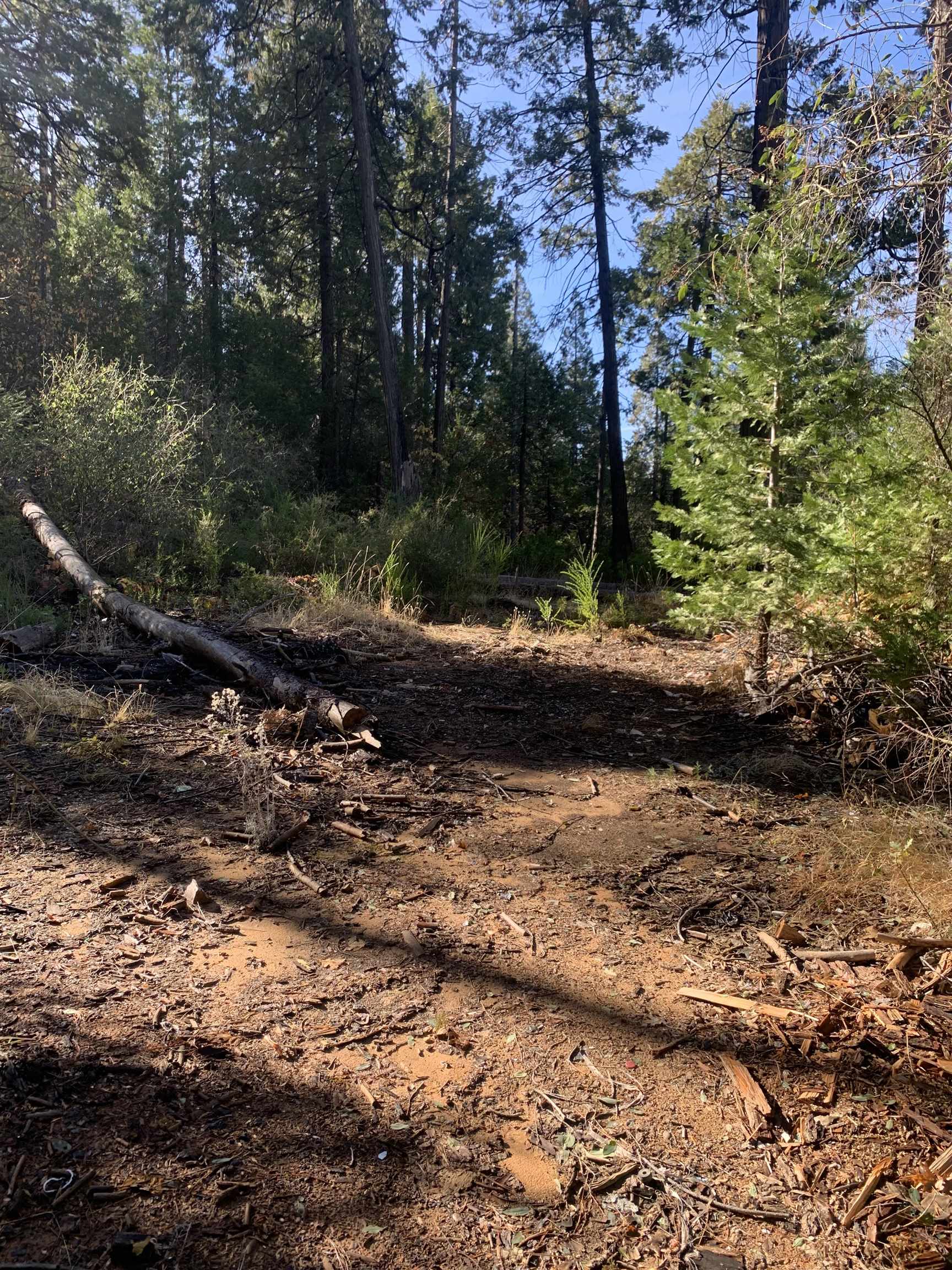 24455 South Fork, Twain Harte