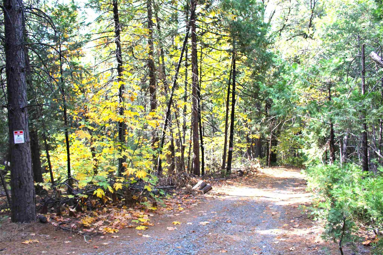 24455 South Fork, Twain Harte