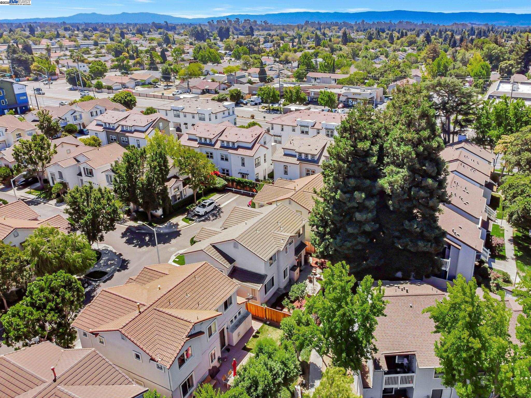 3840 Springfield Cmn