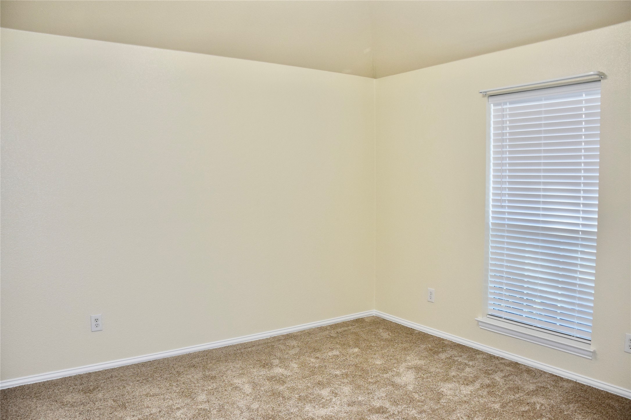 1313 Camden Yard Drive