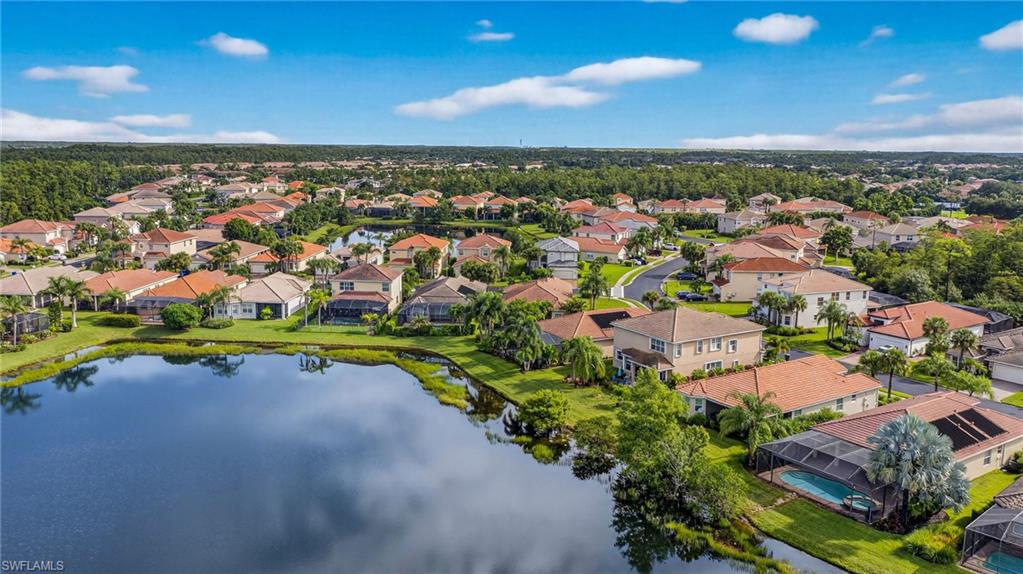10111 Mimosa Silk DR