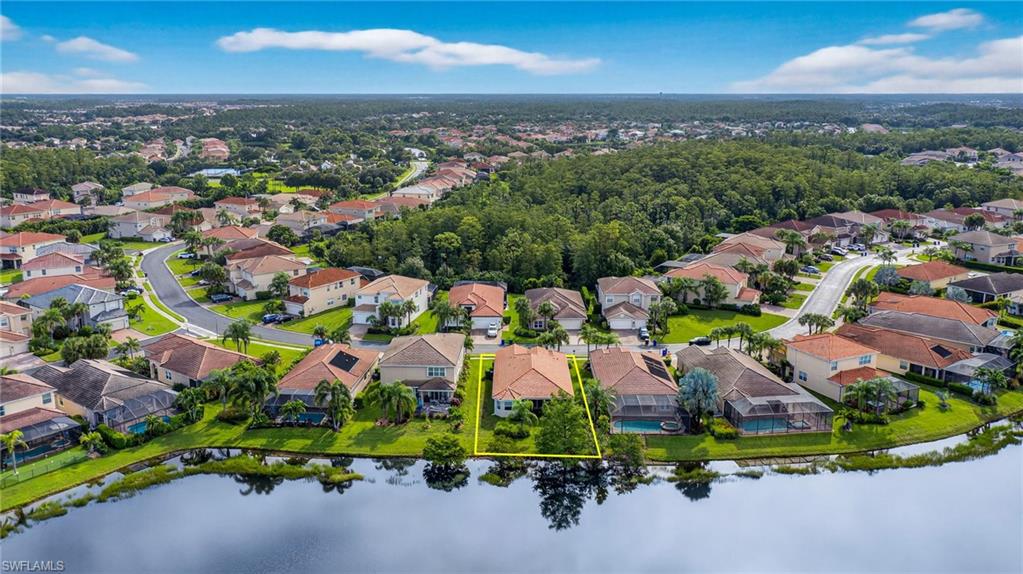 10111 Mimosa Silk DR