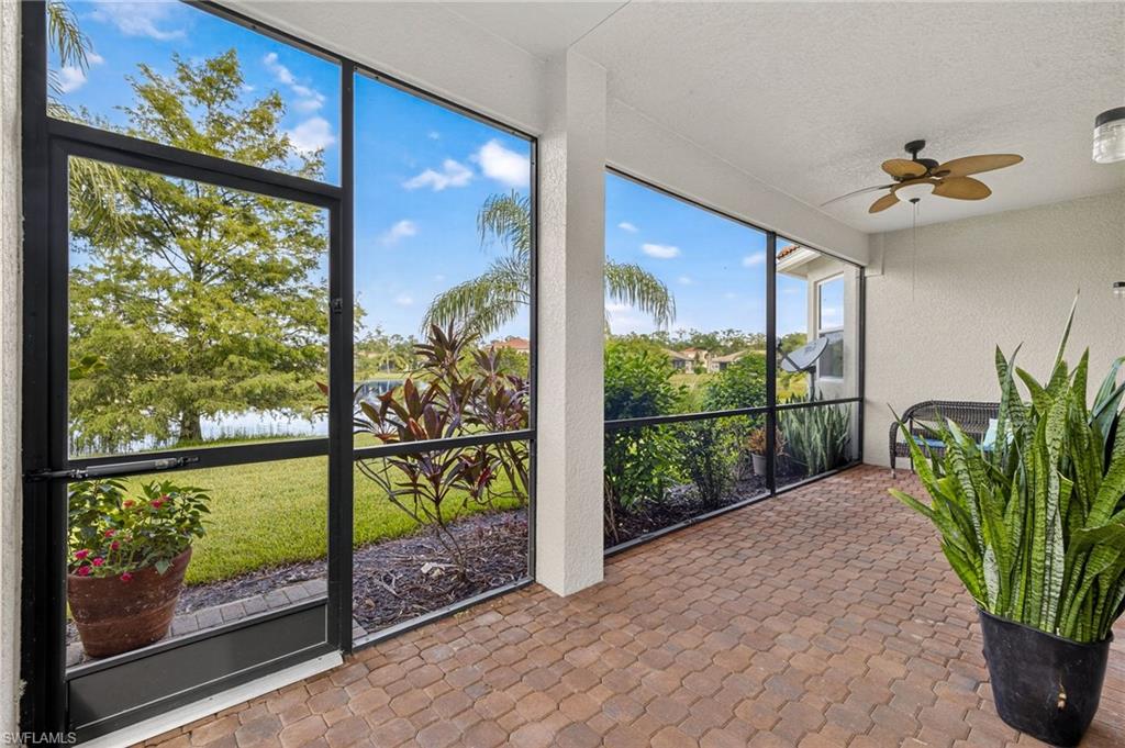 10111 Mimosa Silk DR