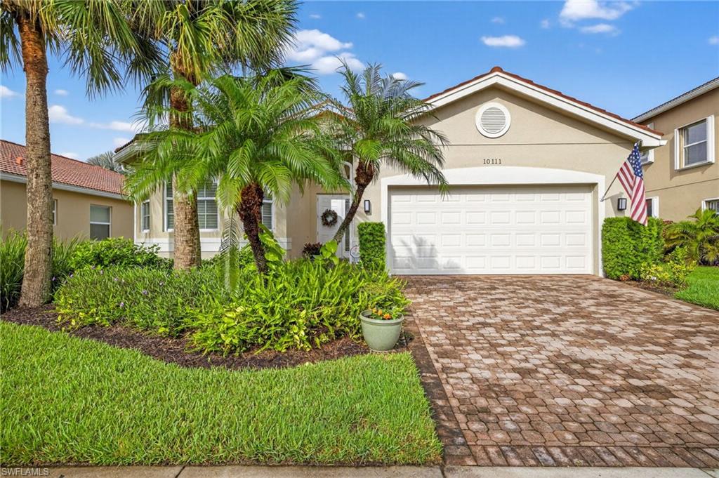 10111 Mimosa Silk DR