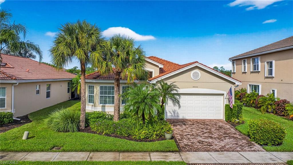10111 Mimosa Silk DR