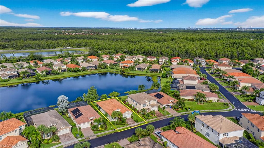 10111 Mimosa Silk DR