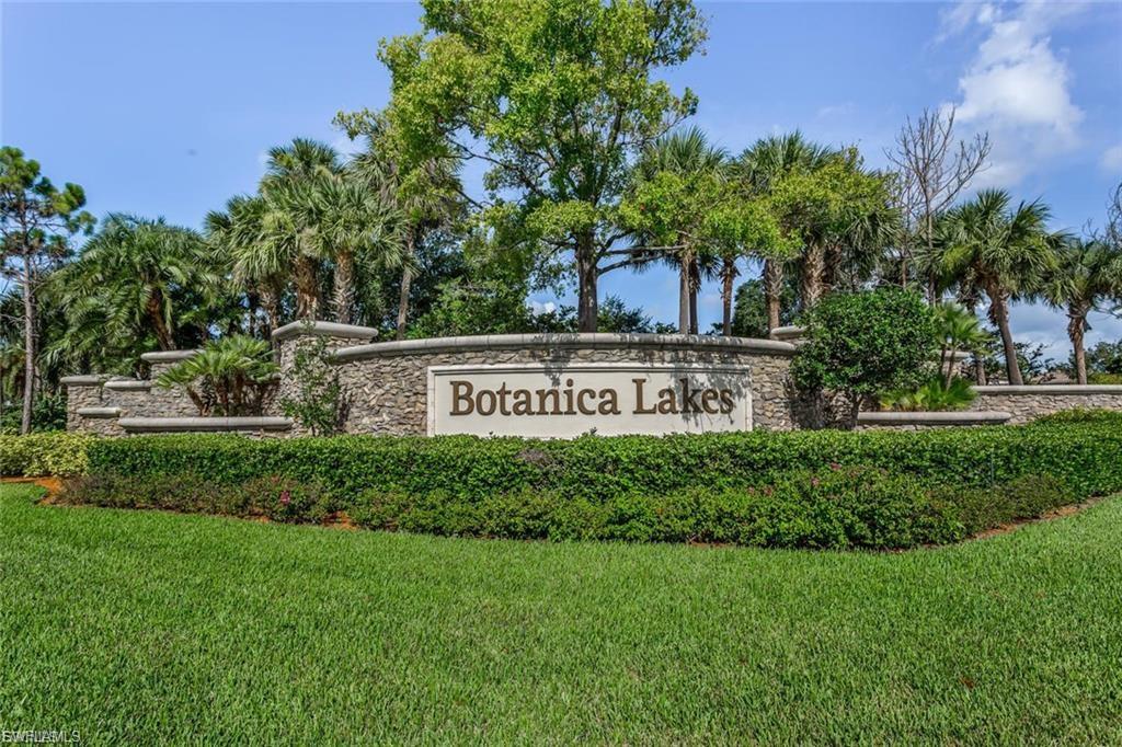 10111 Mimosa Silk DR