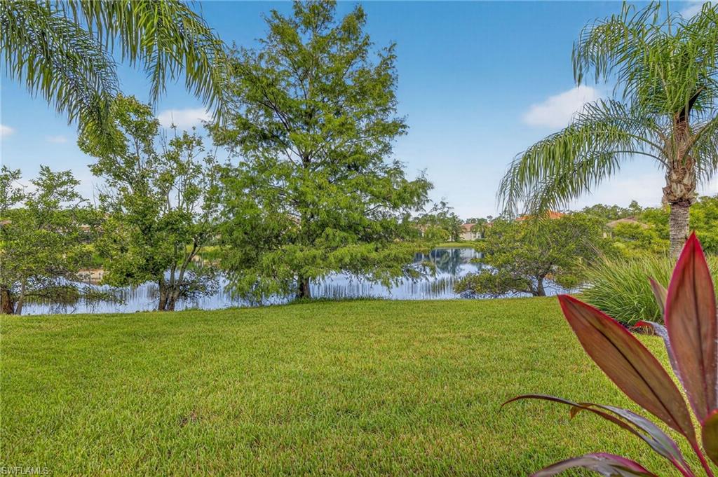 10111 Mimosa Silk DR