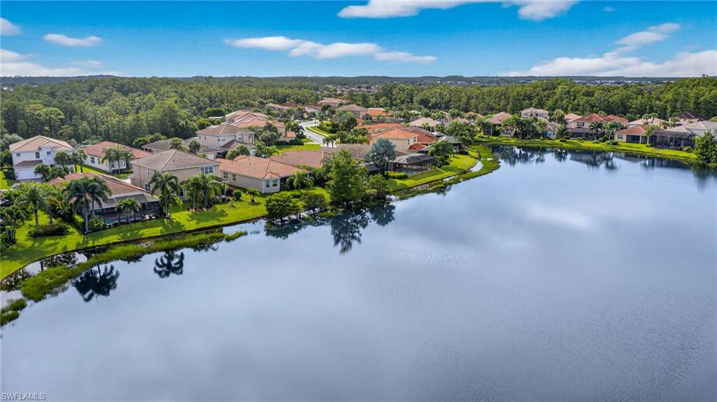 10111 Mimosa Silk DR