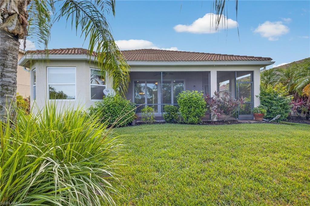 10111 Mimosa Silk DR