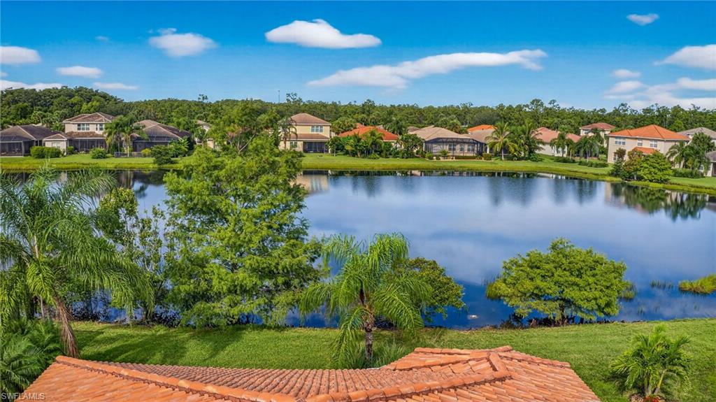 10111 Mimosa Silk DR