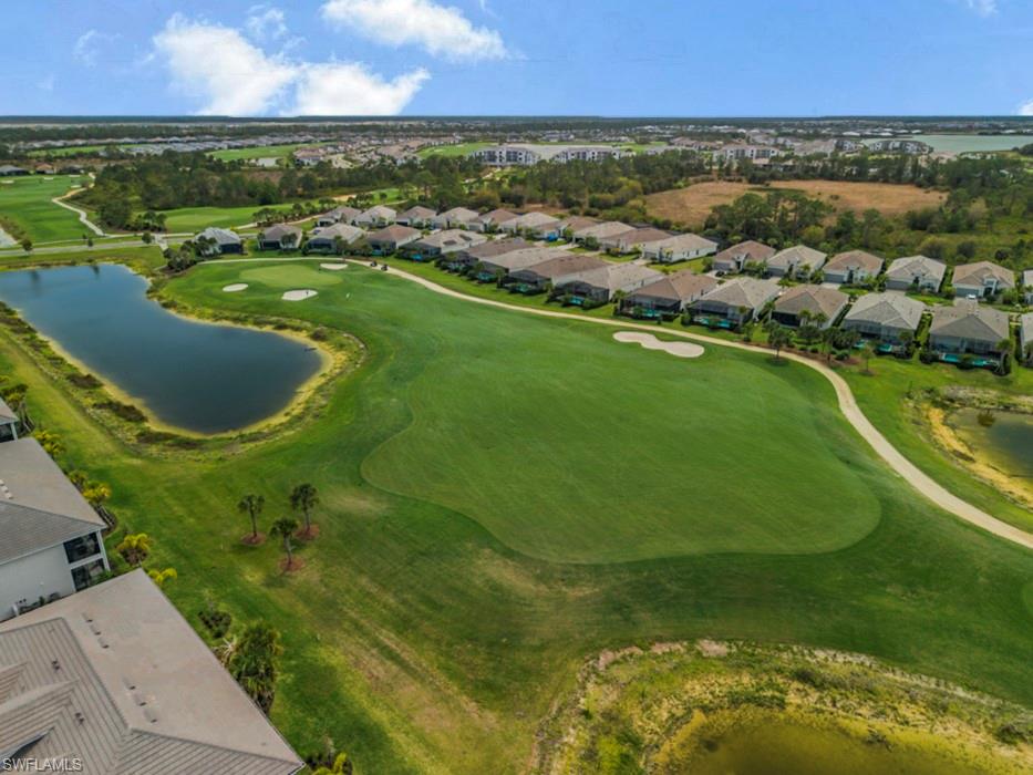 43282 Water Bird WAY 6322