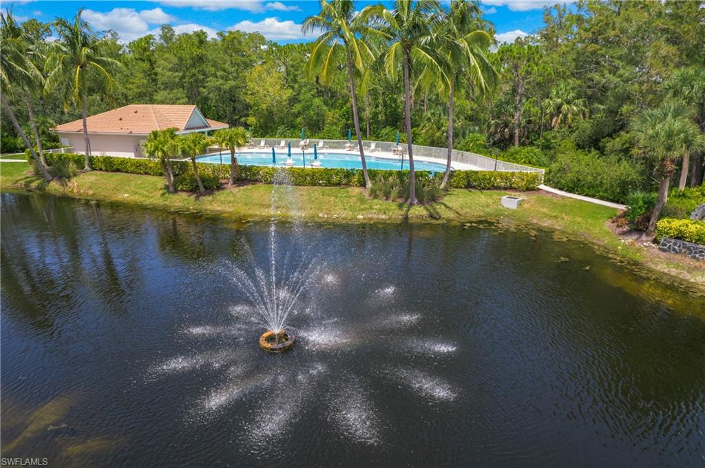 14560 Red Fox RUN # 515