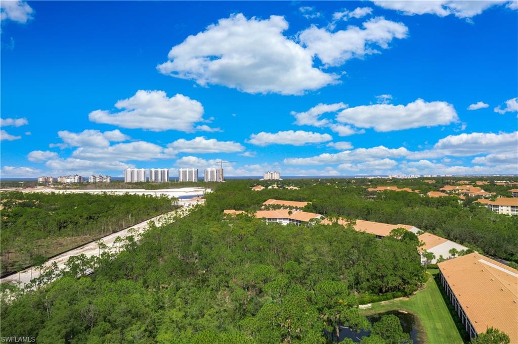 14560 Red Fox RUN # 515