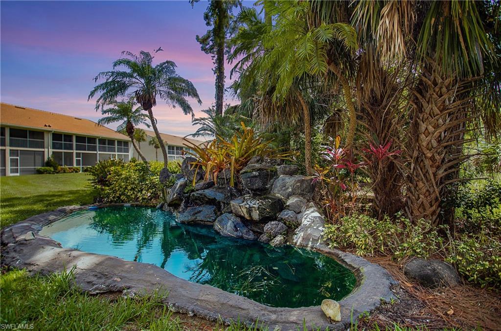 14560 Red Fox RUN # 515