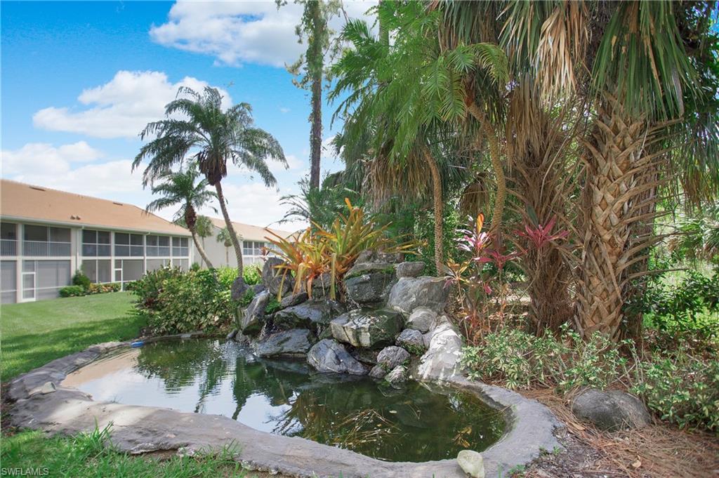 14560 Red Fox RUN # 515