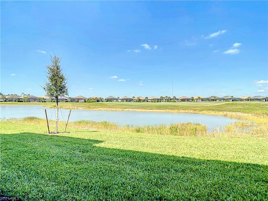 43988 Boardwalk Loop # 1616