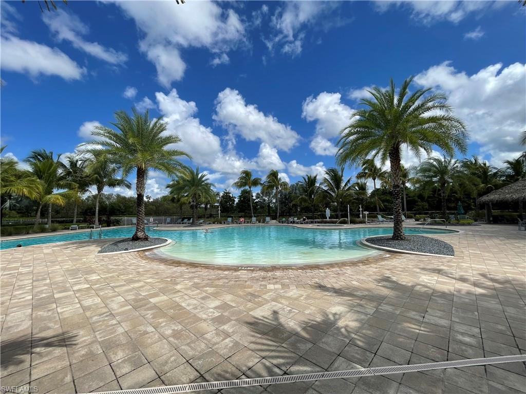 28362 Captiva Shell LOOP