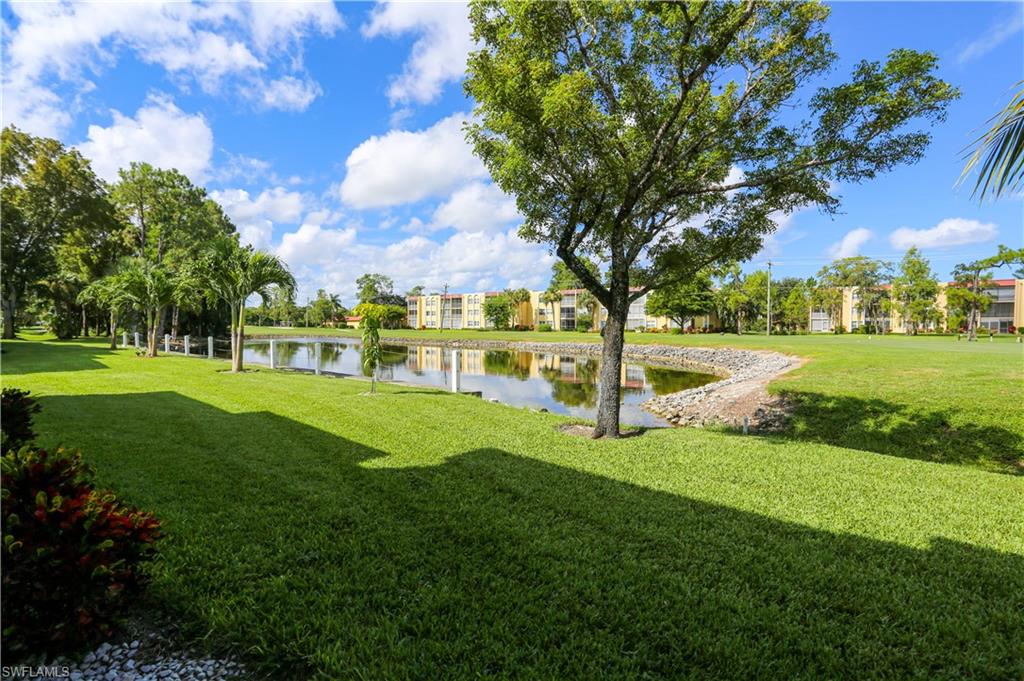 287 Quail Forest BLVD # 117