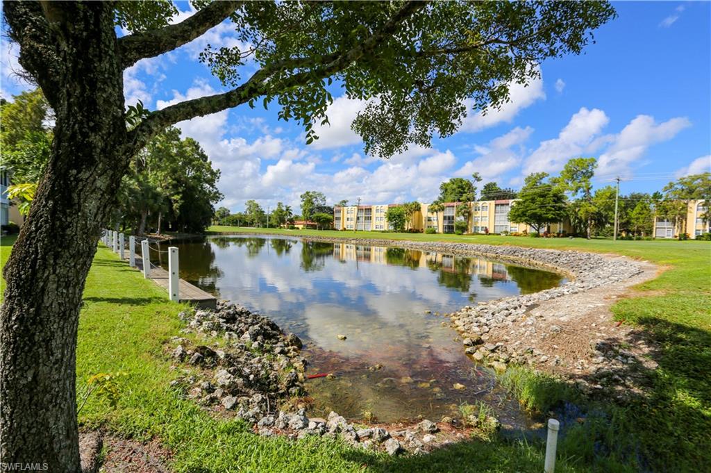 287 Quail Forest BLVD # 117