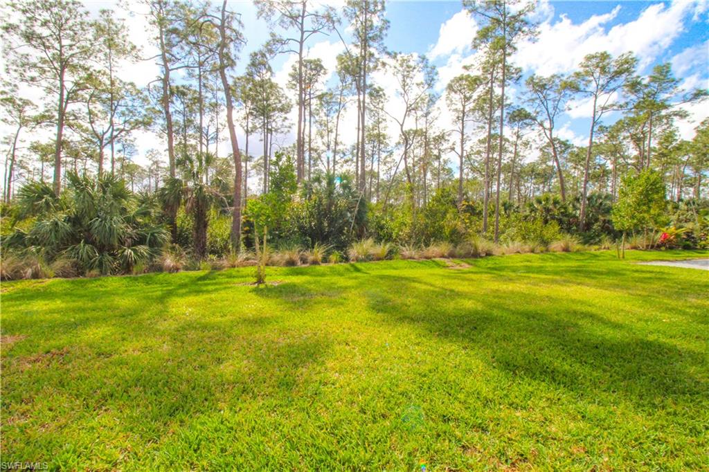 14620 Kingfisher LOOP