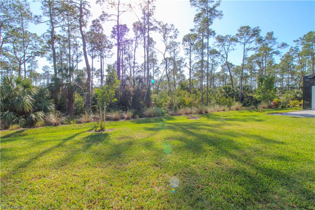 14620 Kingfisher LOOP