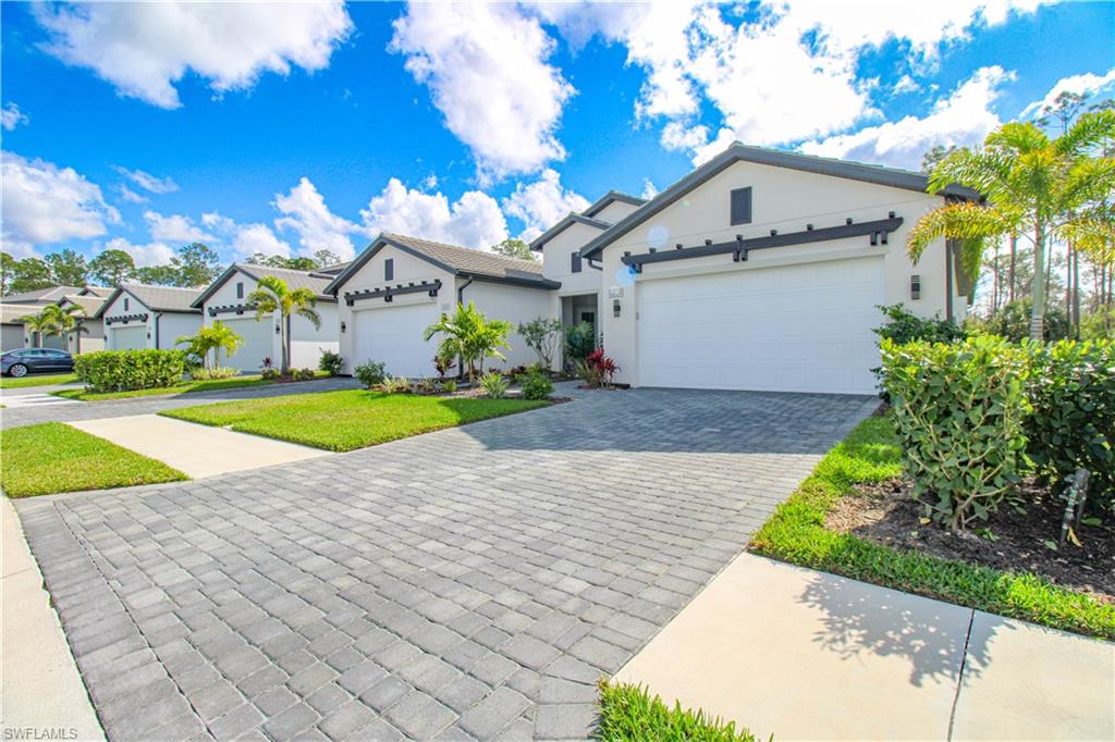 14620 Kingfisher LOOP