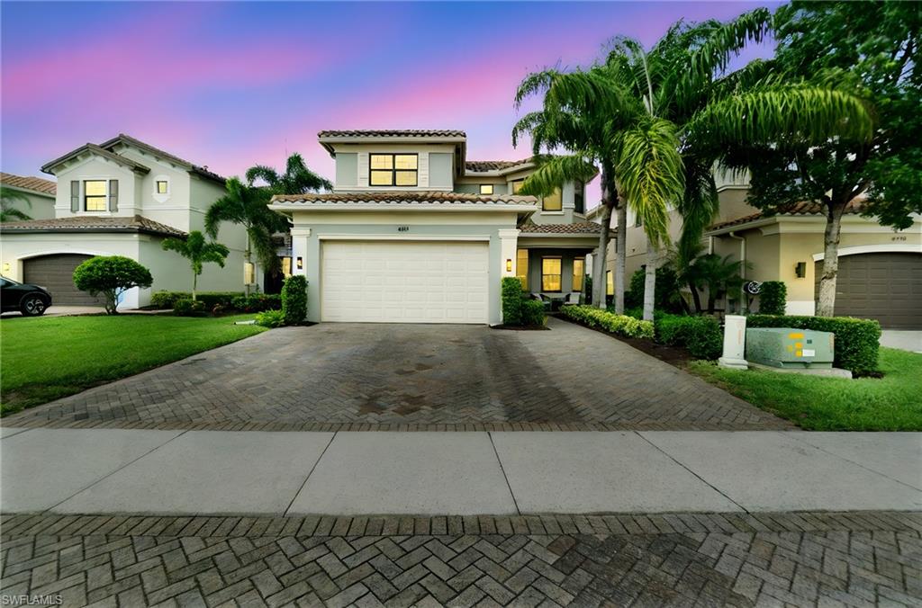 4119 Zelkova CT