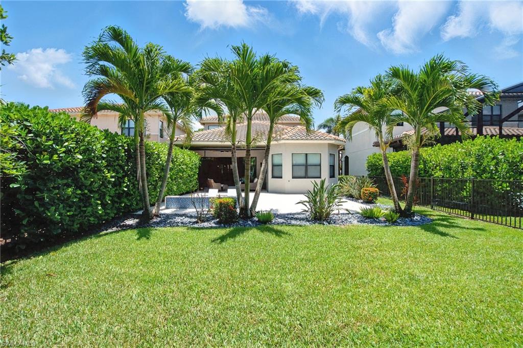4119 Zelkova CT