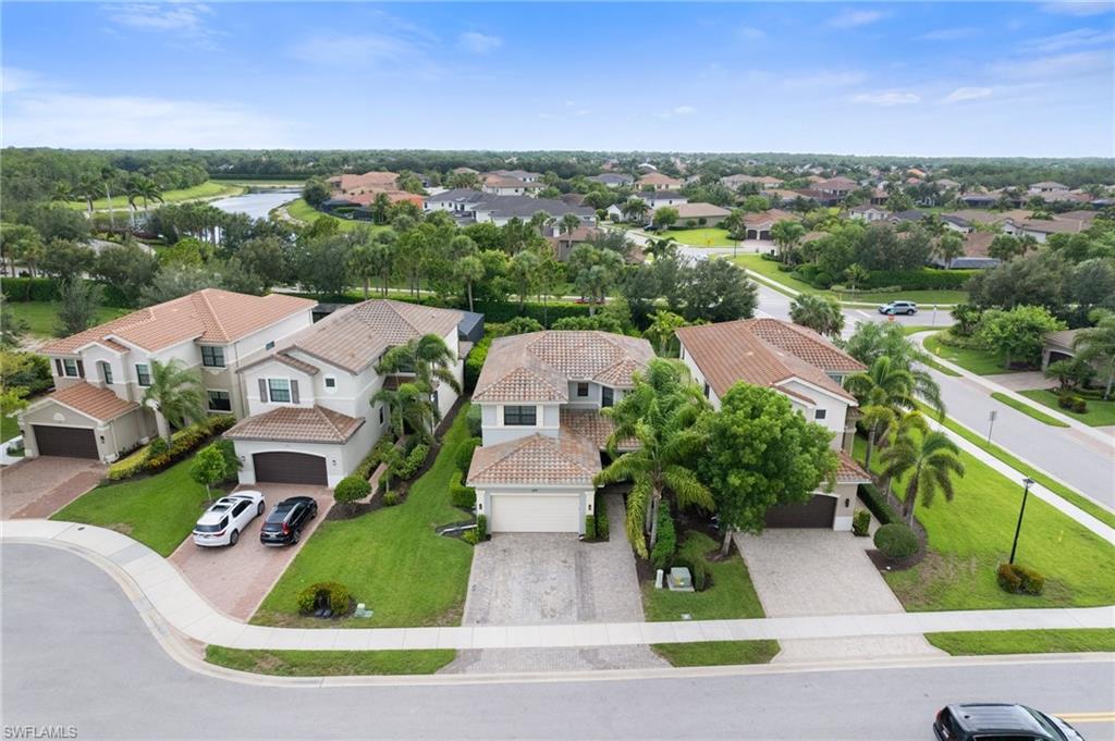 4119 Zelkova CT