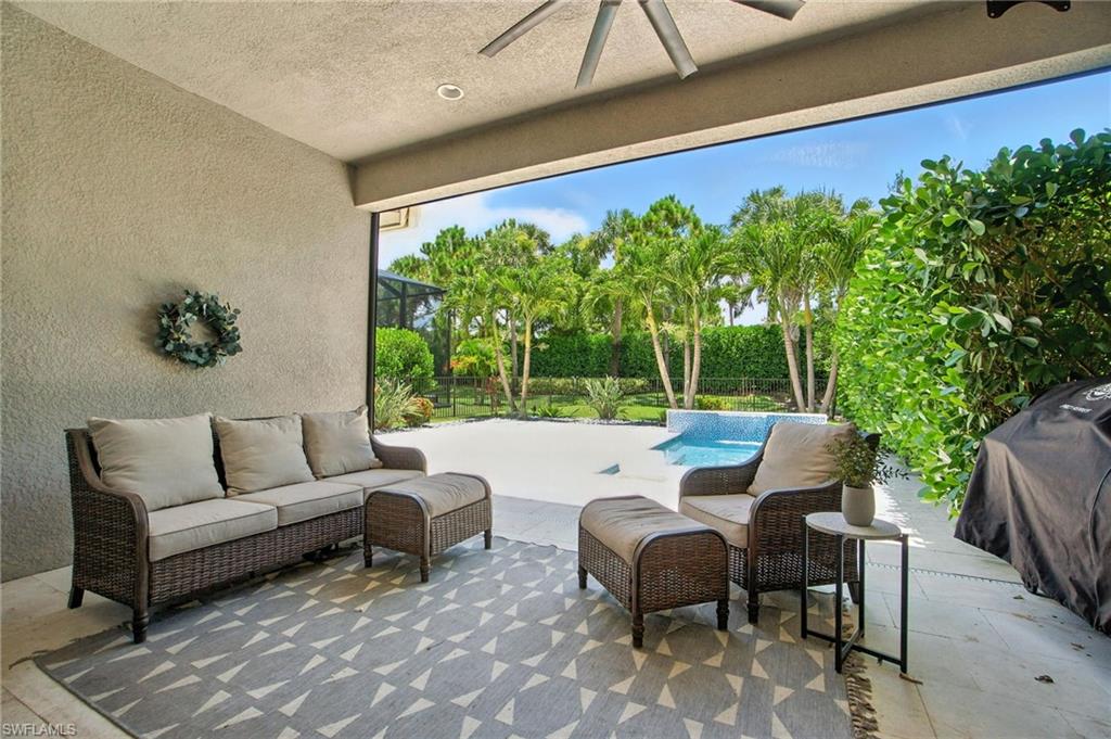 4119 Zelkova CT