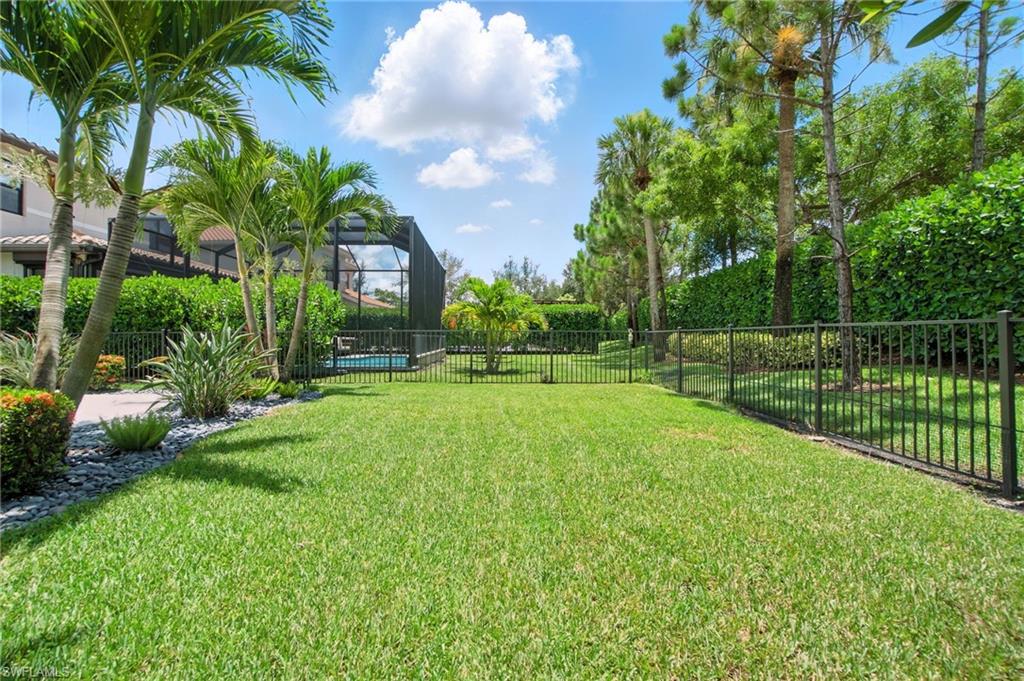 4119 Zelkova CT