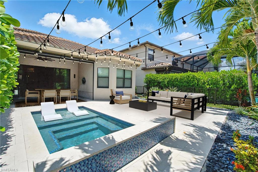 4119 Zelkova CT
