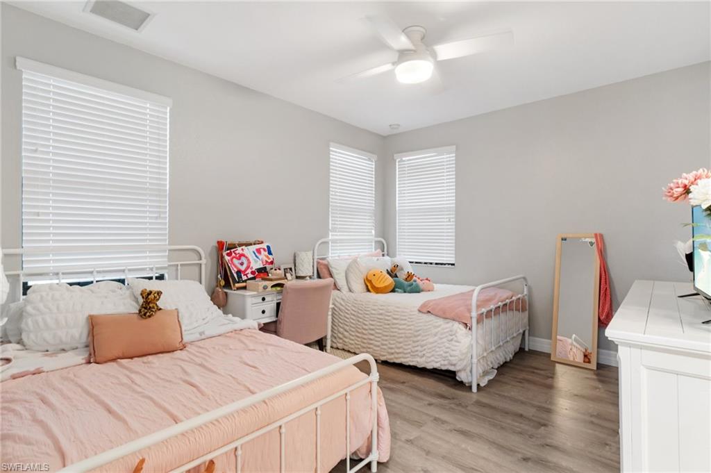 4119 Zelkova CT
