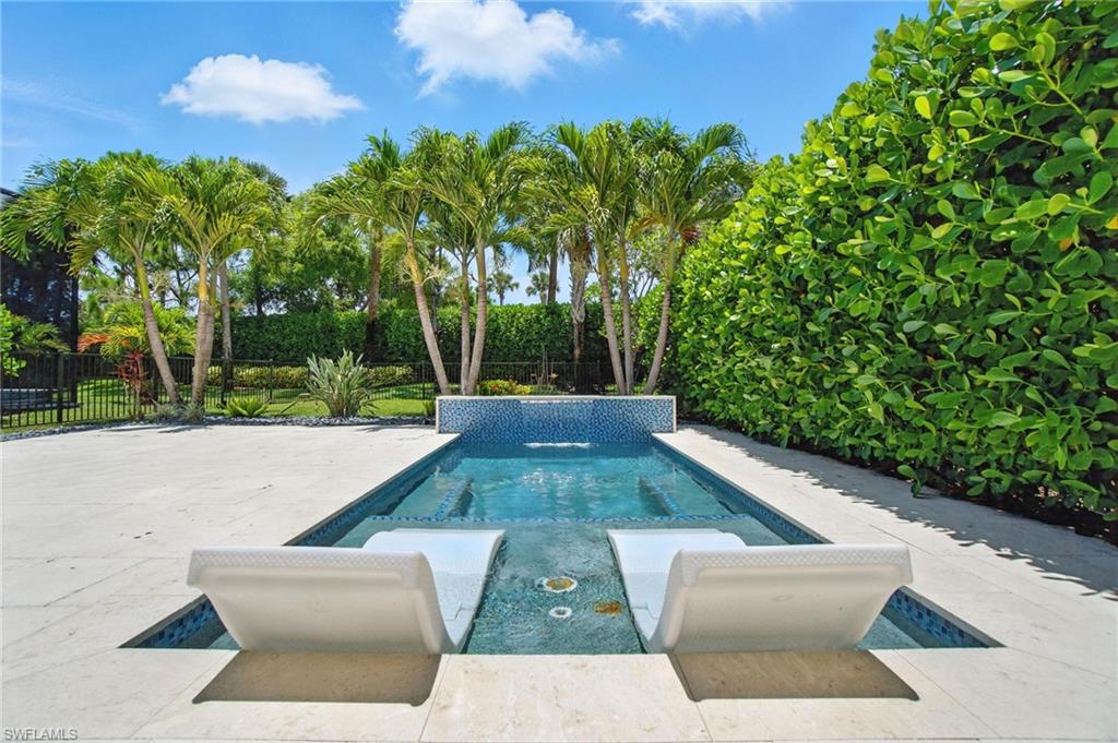4119 Zelkova CT
