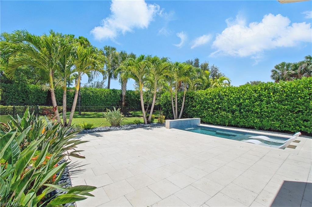 4119 Zelkova CT