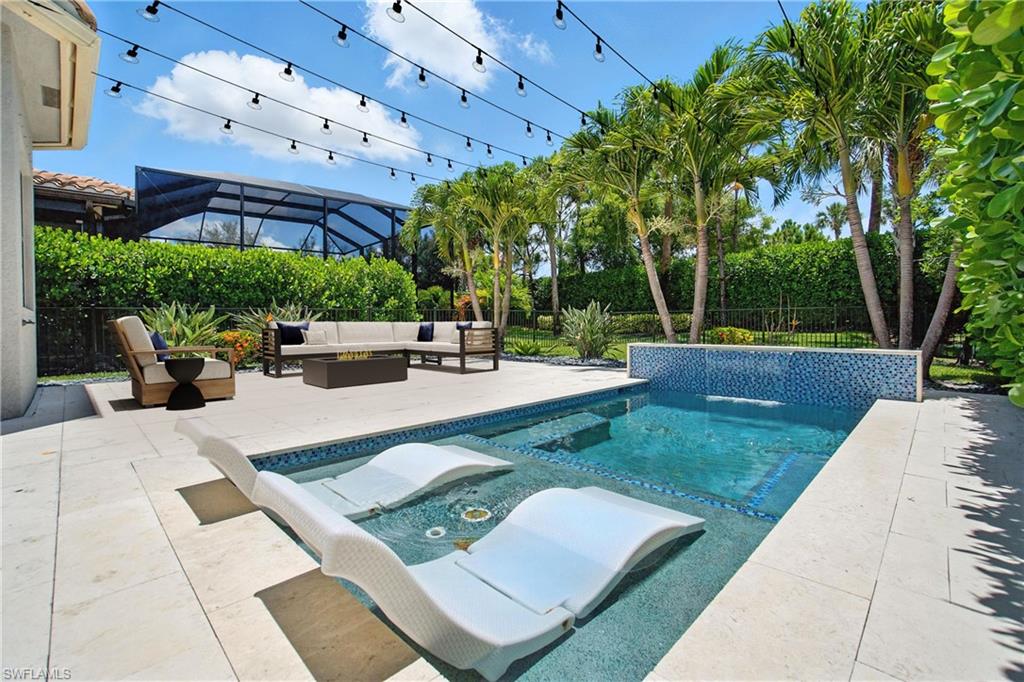 4119 Zelkova CT